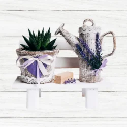 Дом & Градина