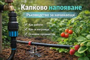 Капково напояване в градина с маркуч и капкообразувател, поливащ домати и ягоди